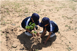 Earth day